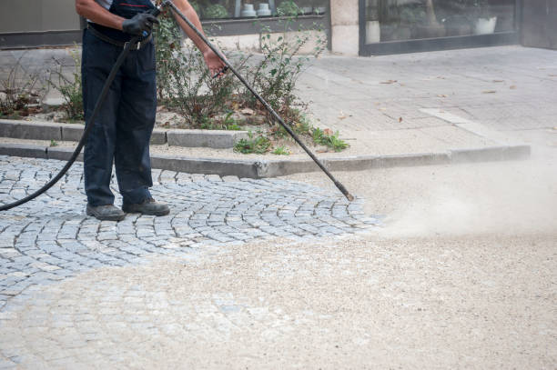 Best Soft Washing  in Quail Ridge, FL
